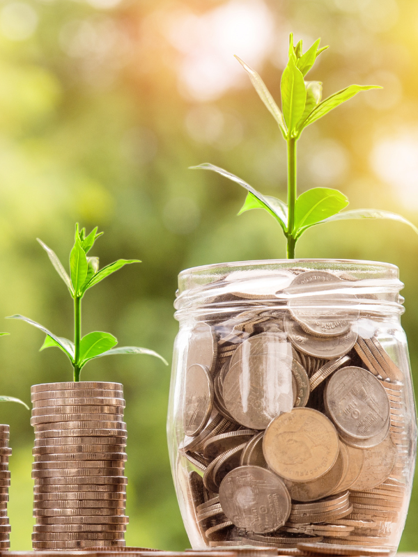 Two plant shoots grow out from a stack of coins and a glass of coins